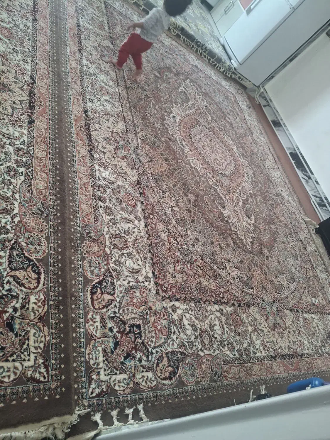 فرش|فرش|الیگودرز, |دیوار