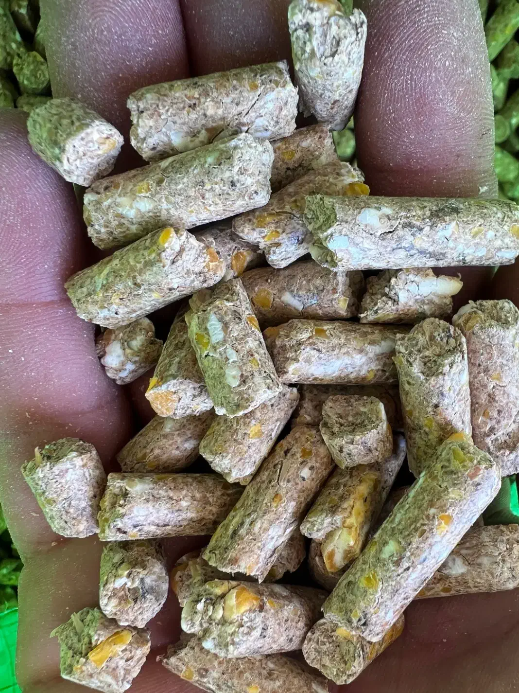 کنسانتره مش وپلیت شیری و پرواری سبوس جو دزت|عمده‌فروشی|گلپایگان, |دیوار