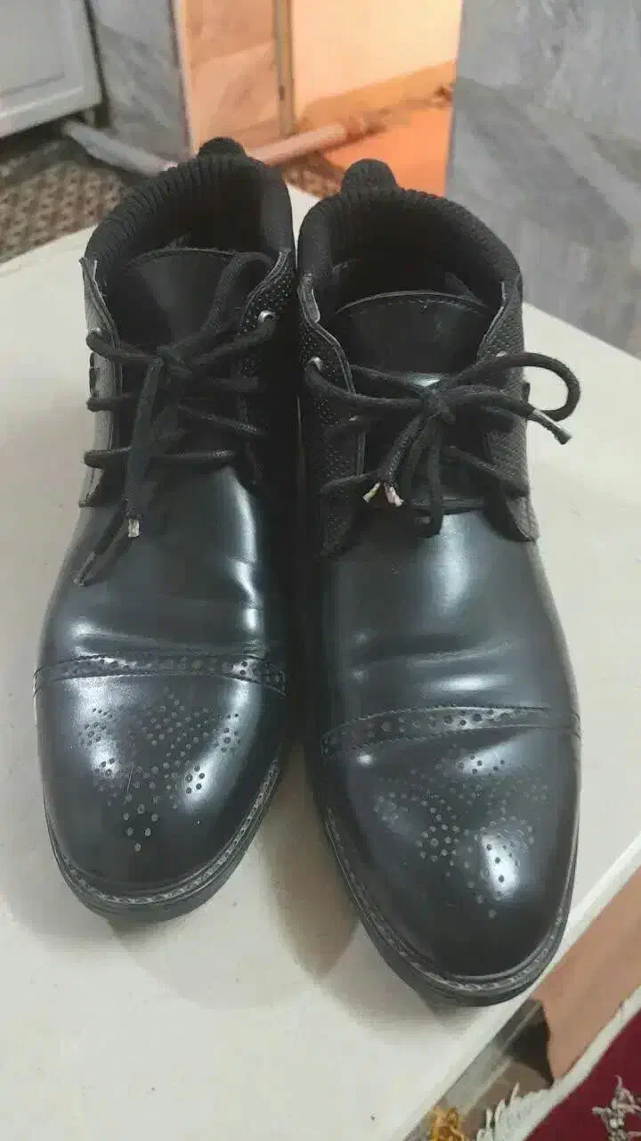 کفش نیم پوت|کیف، کفش، کمربند|محلات, |دیوار