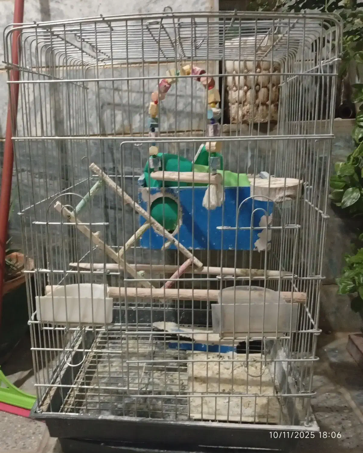 قفس|لوازم جانبی حیوانات|بروجرد, |دیوار