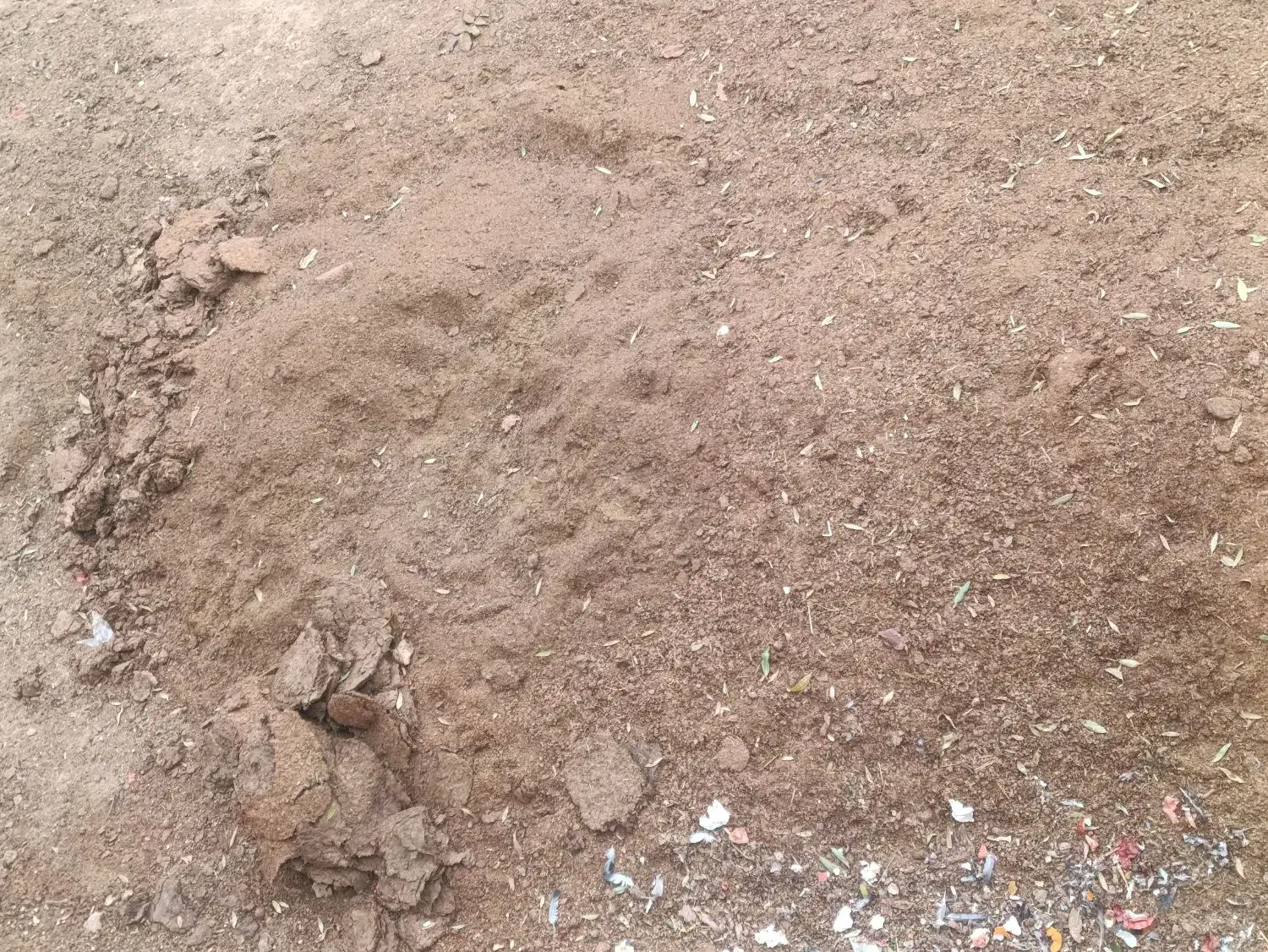 کود گوسفندی تازه|لوازم جانبی حیوانات|شراء, |دیوار