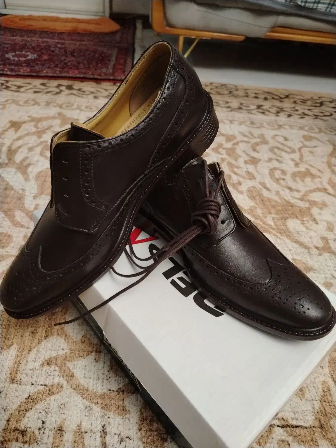 کفش چرم مجلسی|کیف، کفش، کمربند|ملایر, |دیوار