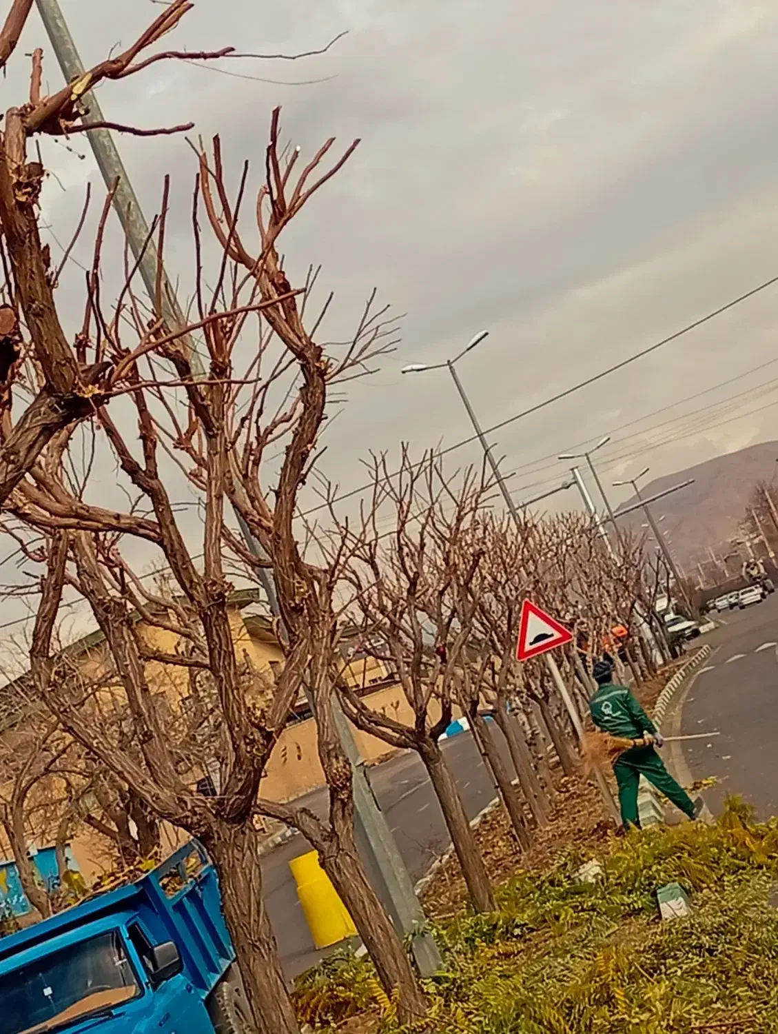 فصل هرس کاری بیل زنی|خدمات باغبانی و درختکاری|کرج, کمال‌شهر|دیوار