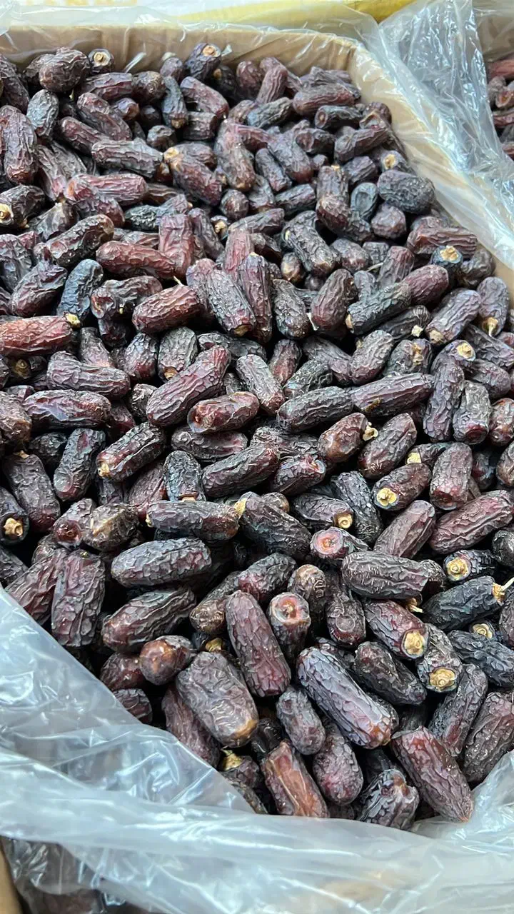 فروش محصولات خرما|عمدهفروشی|بوشهر, |دیوار