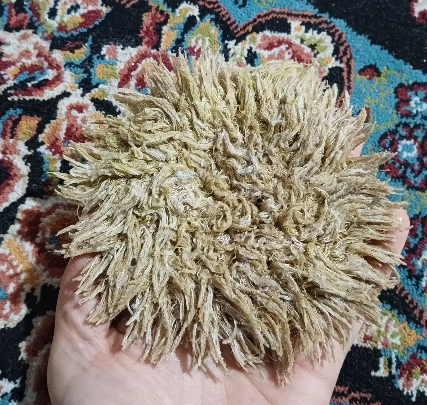 اسکاچ|لوازم نظافت|تهران, امام زاده عبدالله|دیوار