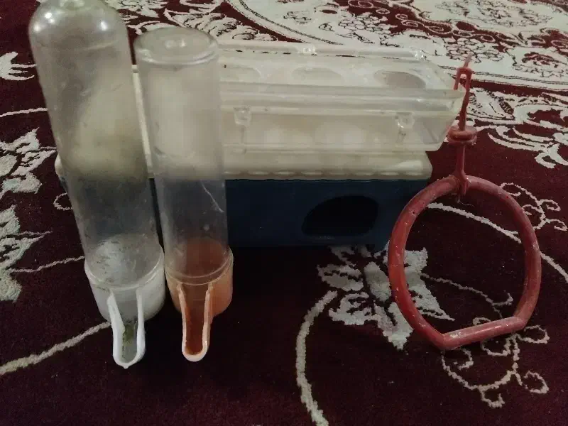 فروشی|پرنده|نظرآباد, شهرک صنعتی سپهر|دیوار