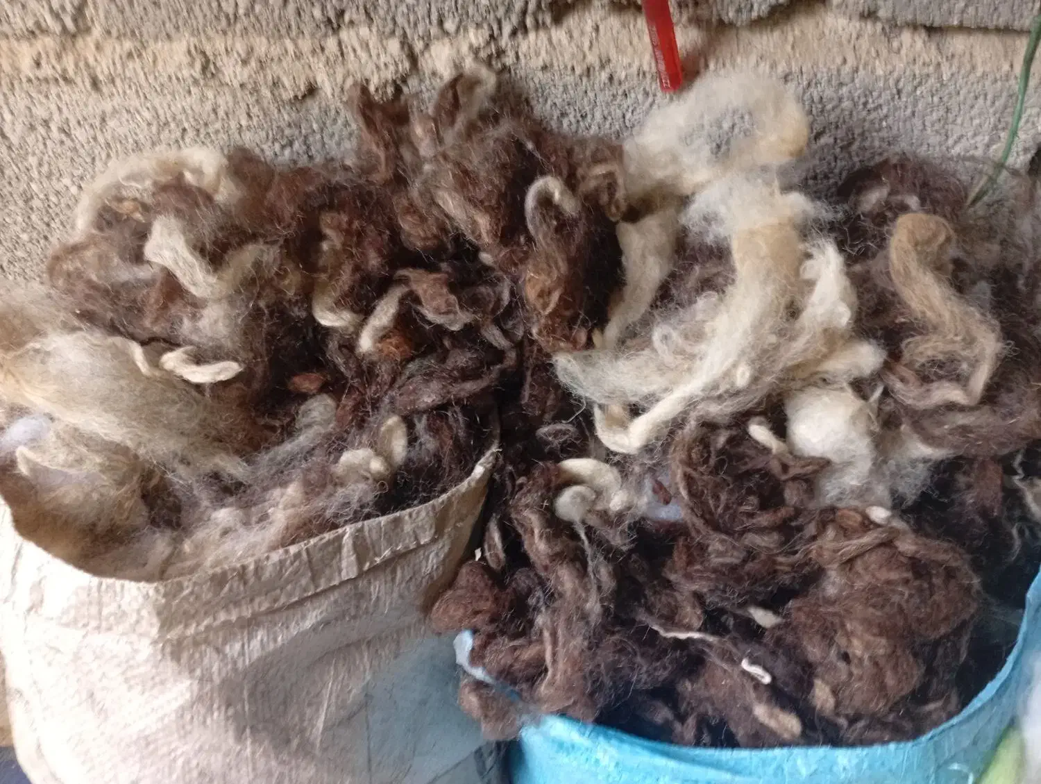 پشم رختخواب|رختخواب، بالش، پتو|باغستان, |دیوار