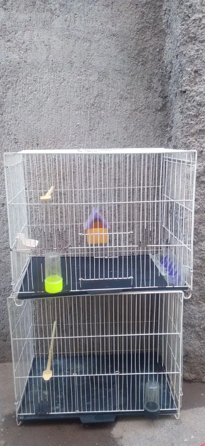 قفس پرنده|لوازم جانبی حیوانات|تربت جام, شهید مدرس|دیوار