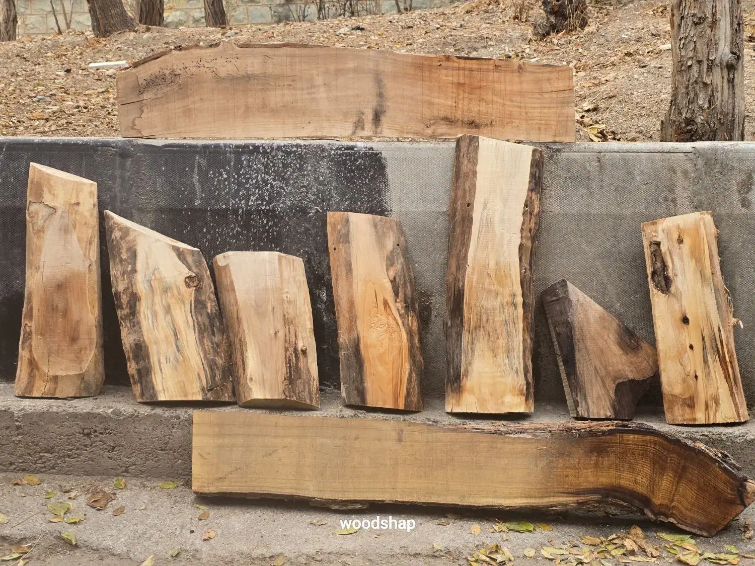 چوب|صنایع دستی و سایر لوازم تزئینی|تهران, دهکده المپیک|دیوار