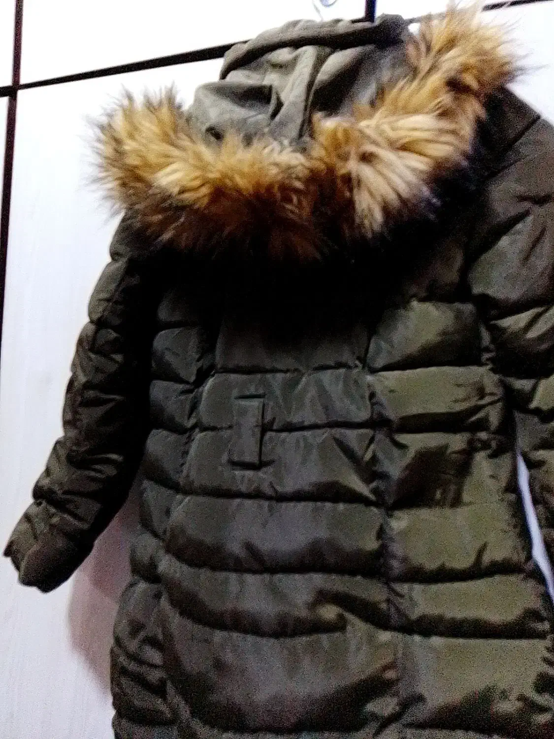 پالتو|لباس|اهواز, پردیس دو|دیوار