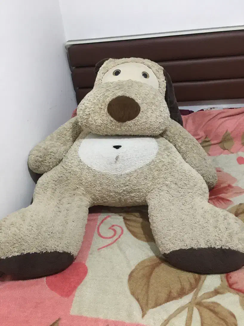 عروسک سگ|اسباب‌‌بازی|قرچک, میرزائی جنوبی|دیوار