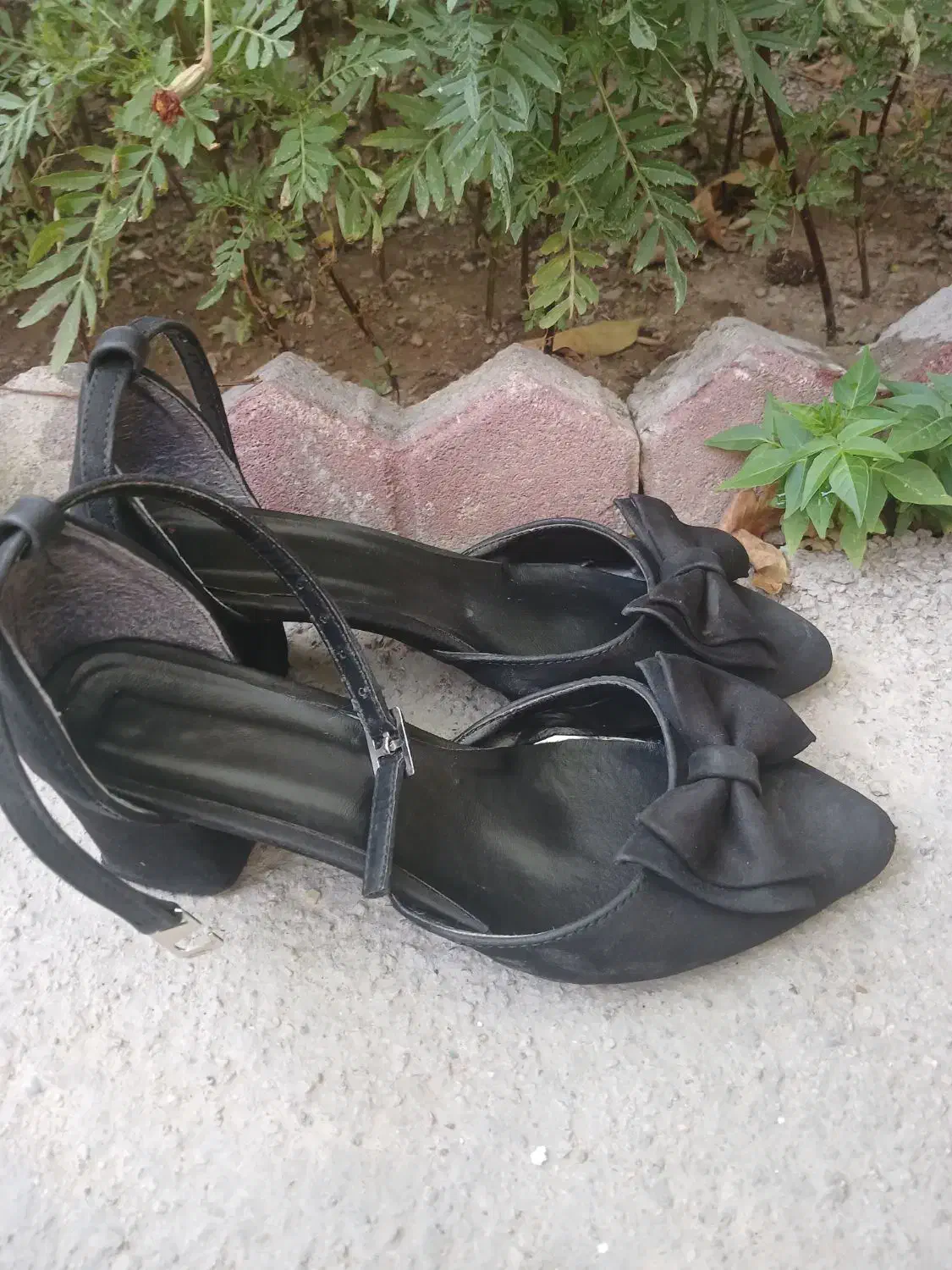 کفش مجلسی|کیف، کفش، کمربند|ارومیه, |دیوار