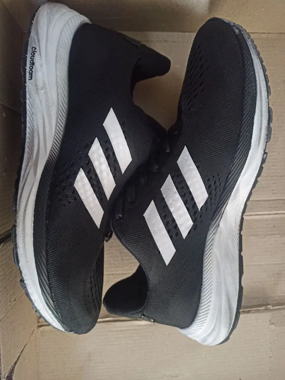 کفش آدیداس اورجینال|کیف، کفش، کمربند|بیرجند, |دیوار