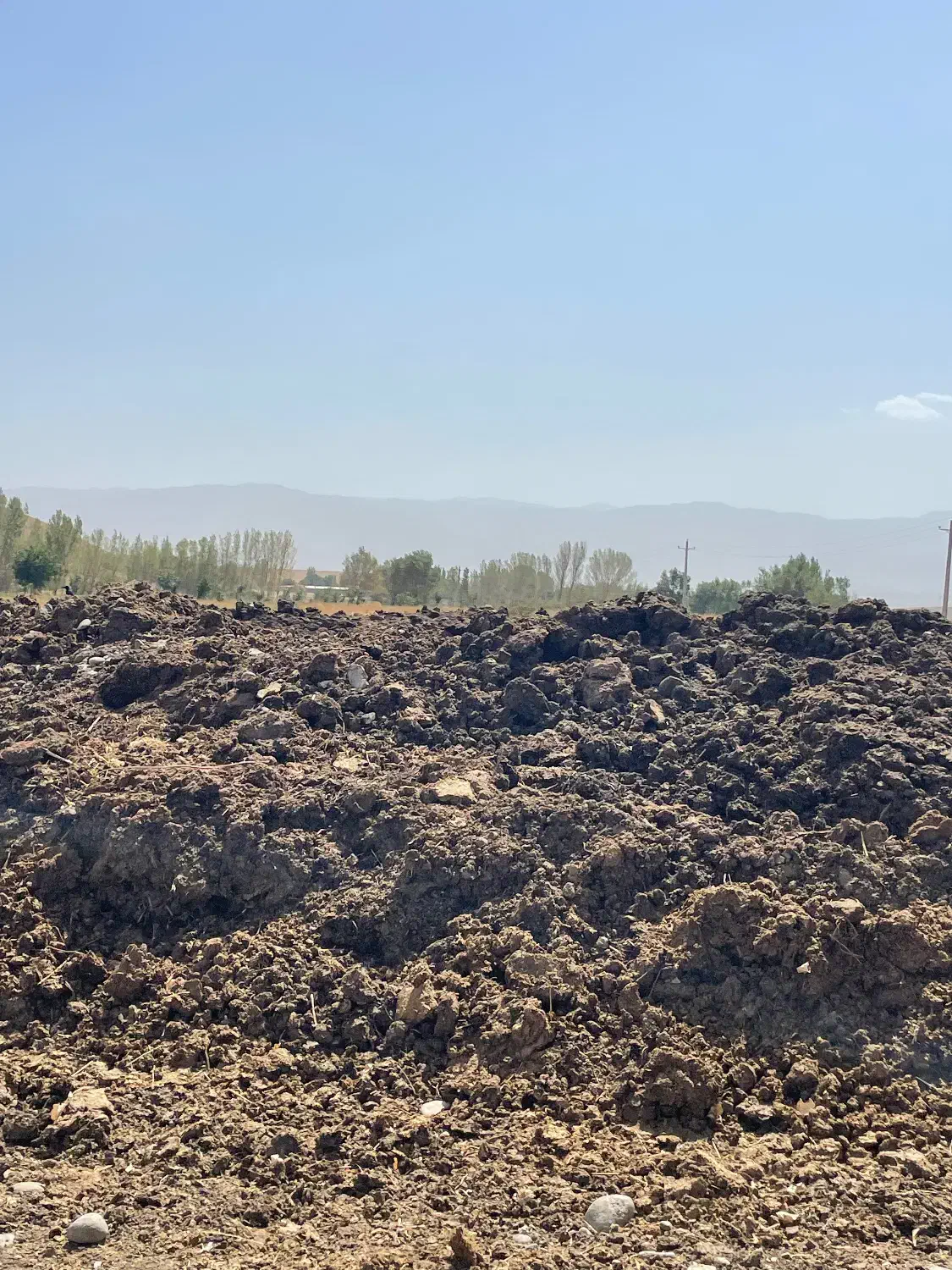 کود حیوانی یانمش پین بر گاوداری|خدمات باغبانی و درختکاری|سراب, |دیوار