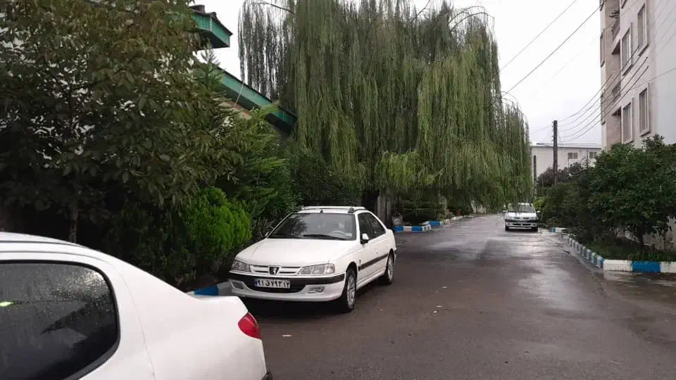 سویت جنگلی نزدیک ساحل روزانه|اجارهٔ کوتاه‌مدت آپارتمان و سوئیت|چالوس, |دیوار