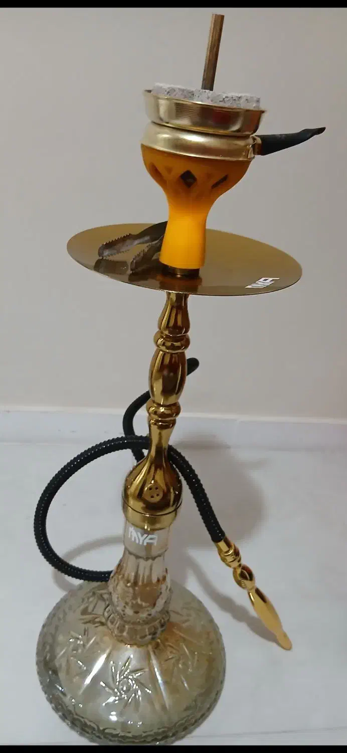 قلیون عربی میا|کلکسیون و سرگرمی|کرج, استاندارد|دیوار