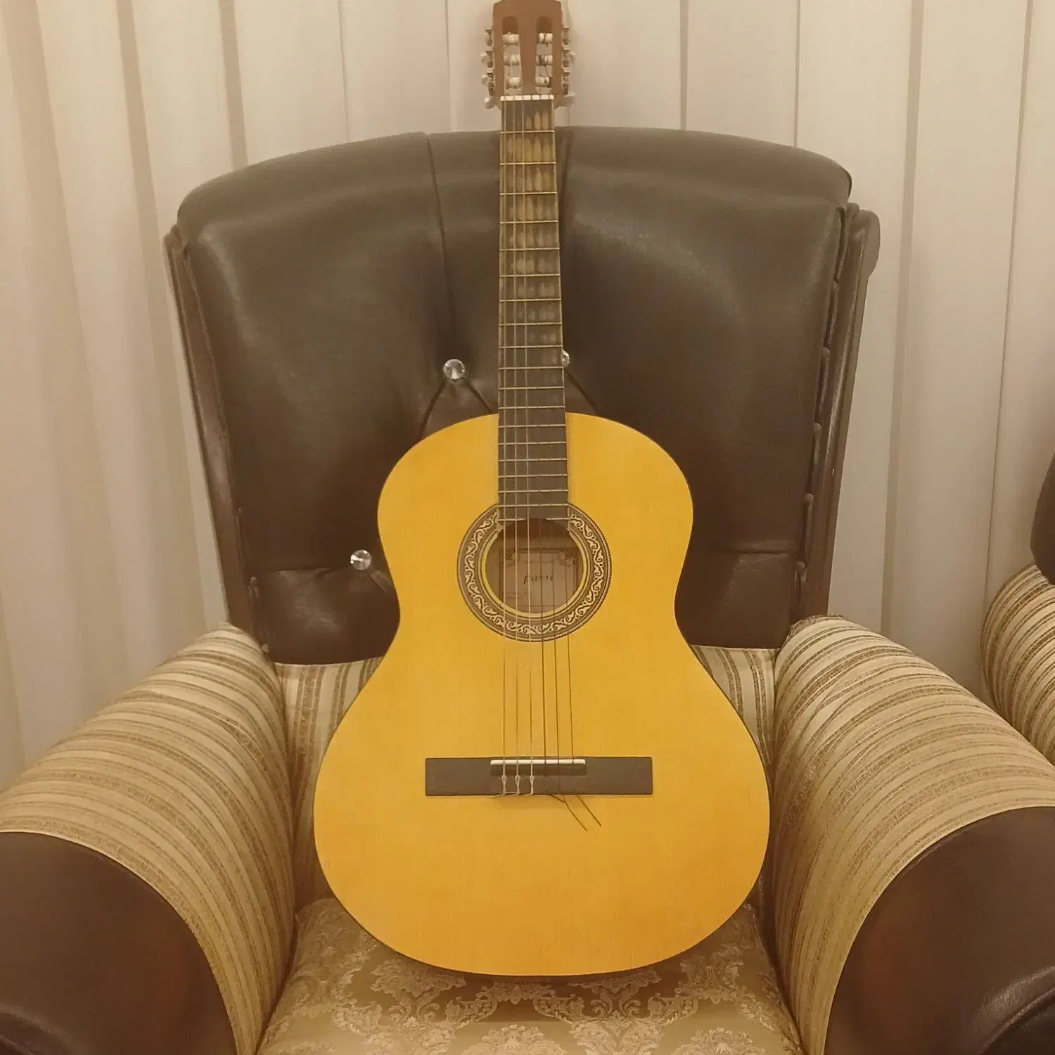 گیتار پارسی c7|گیتار، بیس، امپلیفایر|مشهد, جاهد شهر|دیوار