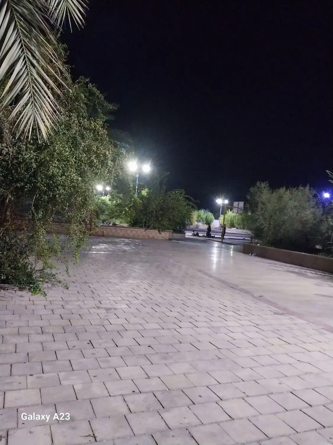 سرویس مدارس پذیر فته می شود|خدمات حمل و نقل|بم, |دیوار