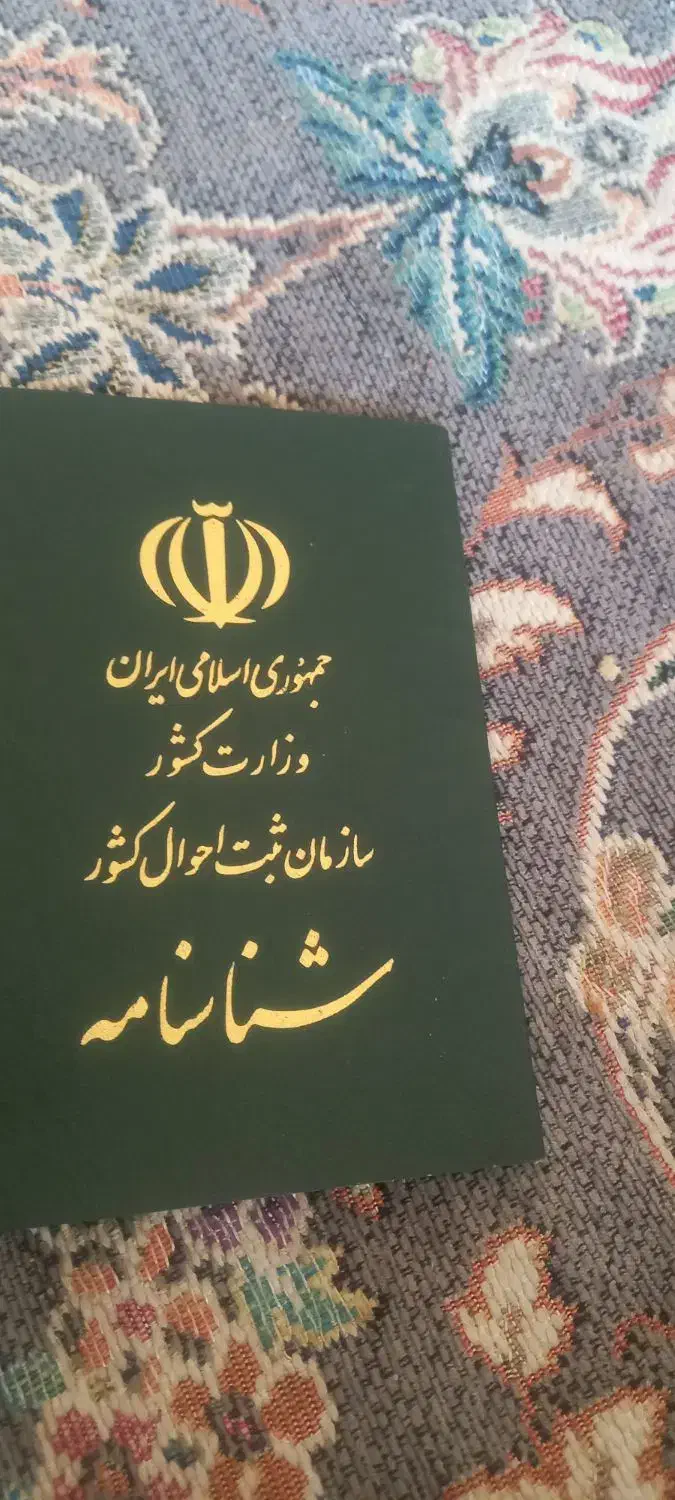 شناسنامه گم شده|اشیا|تربت جام, میان جام|دیوار