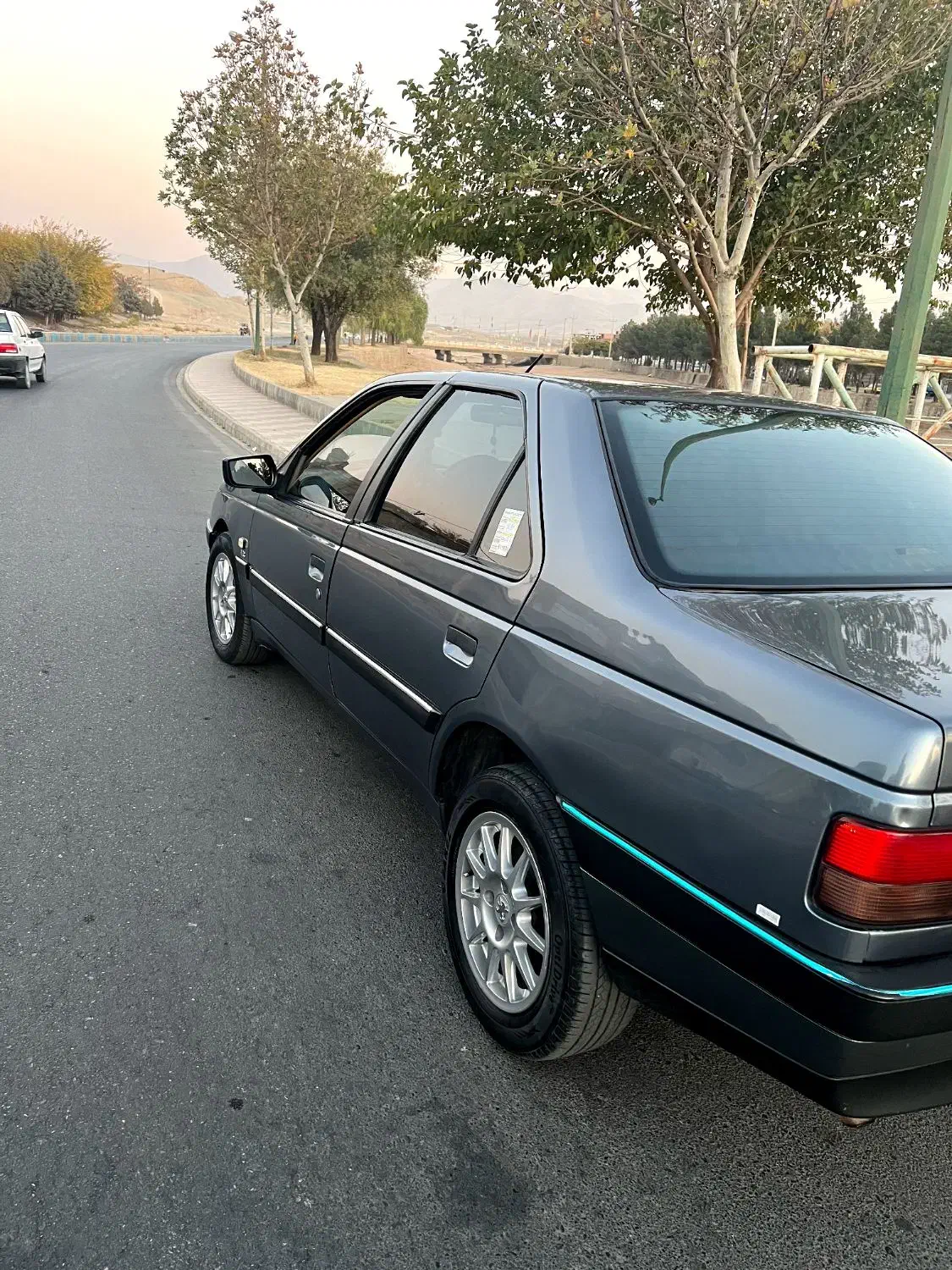 405 دلفینی|خودرو سواری و وانت|شاهین دژ, |دیوار