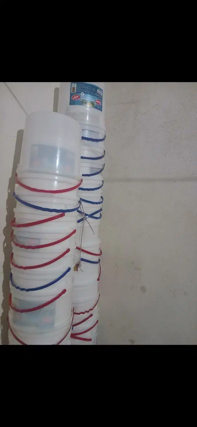 سطل ۸ کیلویی|ظروف نگهدارنده، پلاستیکی، یک‌بارمصرف|سنندج, |دیوار