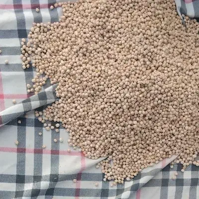 نخود|عمدهفروشی|اردل, |دیوار