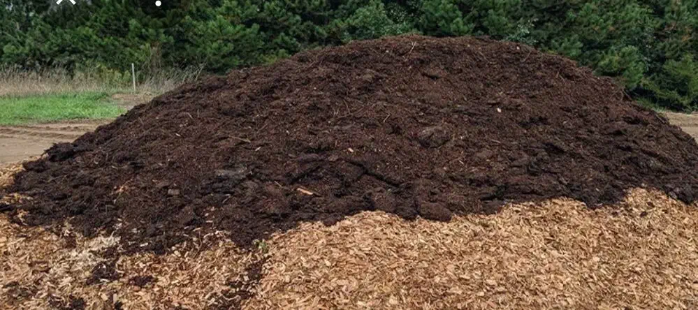 کود گوسفندی|خدمات باغبانی و درختکاری|سراب, |دیوار