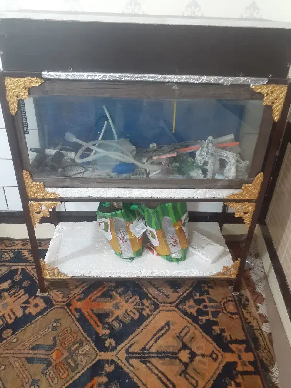 آکواریوم|ماهی|شوشتر, |دیوار