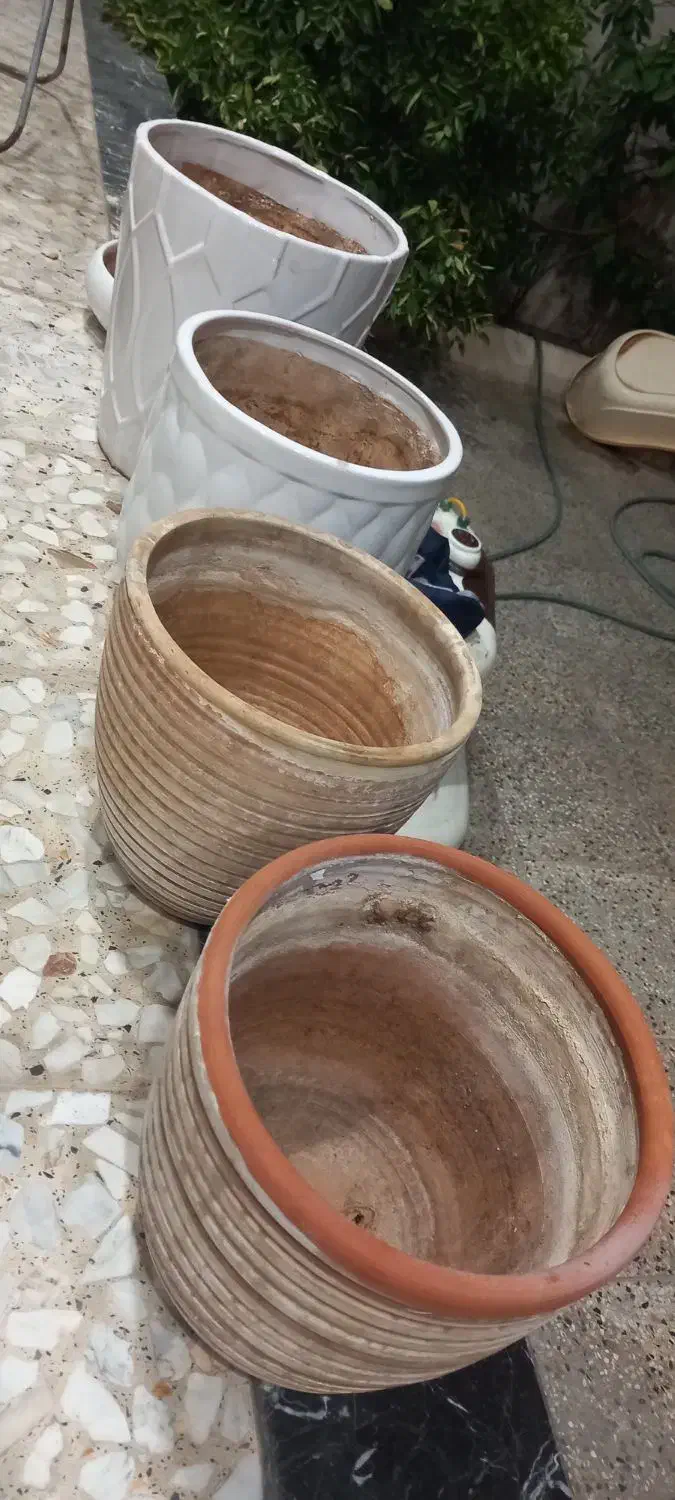 تعدادی گلدان سفال همراه باکس گل|گل و گیاه طبیعی|شیراز, شریف‌آباد|دیوار