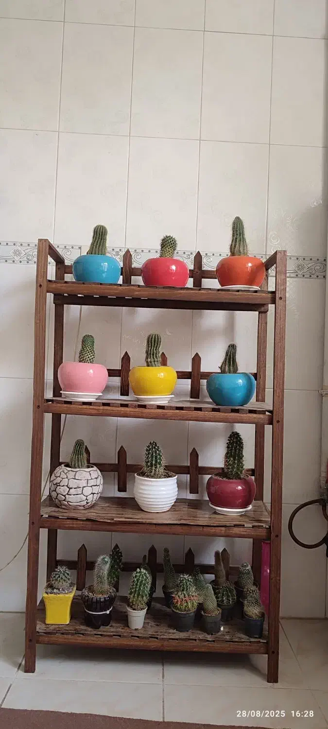 استند گل|گل و گیاه طبیعی|شازند, |دیوار