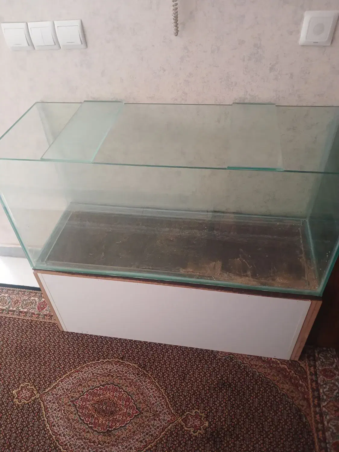 آکواریوم|ماهی|فردیس, شهرک سپاه|دیوار