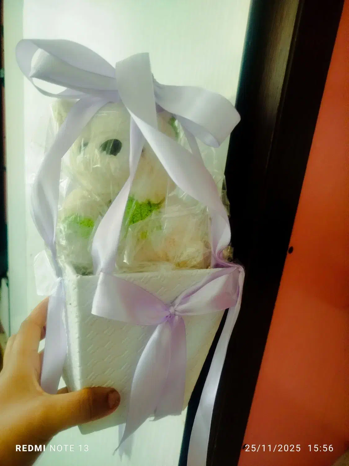 عروسک|اسباب‌بازی بچه|ایلام, |دیوار