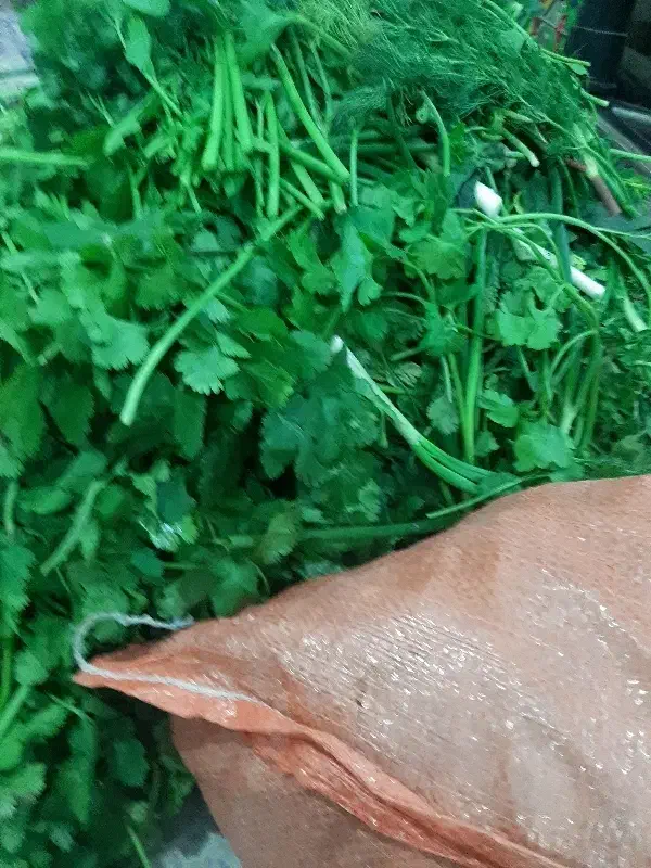 سبزی|خوردنی و آشامیدنی|قم, زند آباد|دیوار