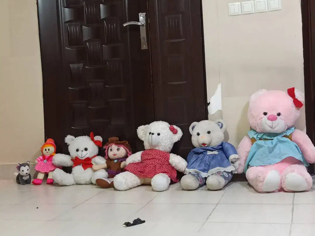 ۷عدد خرسی. عروسک|اسباببازی بچه|سنندج, |دیوار