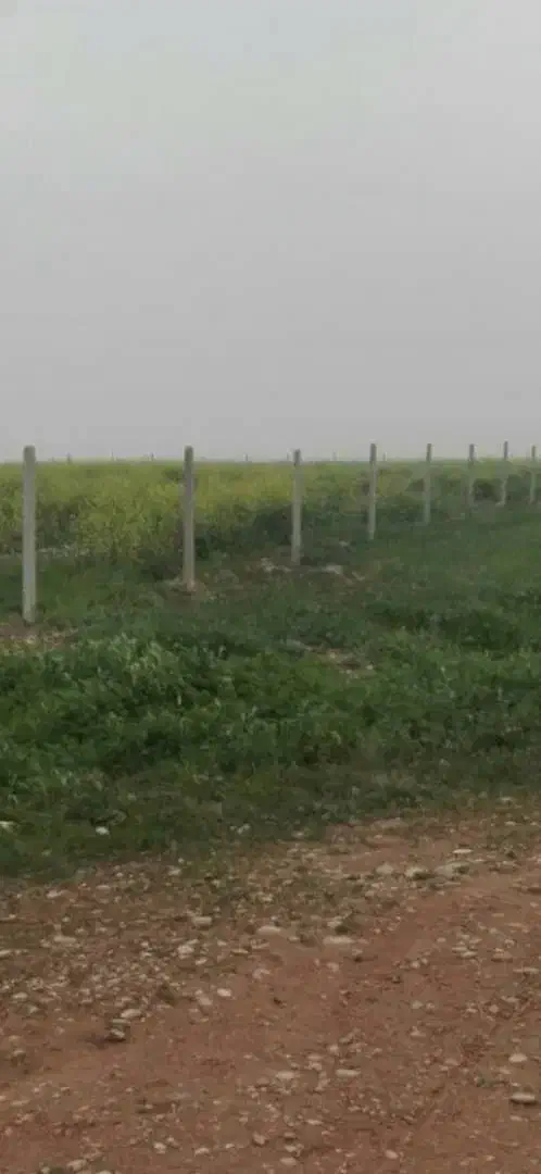 پایه فنس بتنی|مصالح و تجهیزات ساختمان|شوشتر, |دیوار