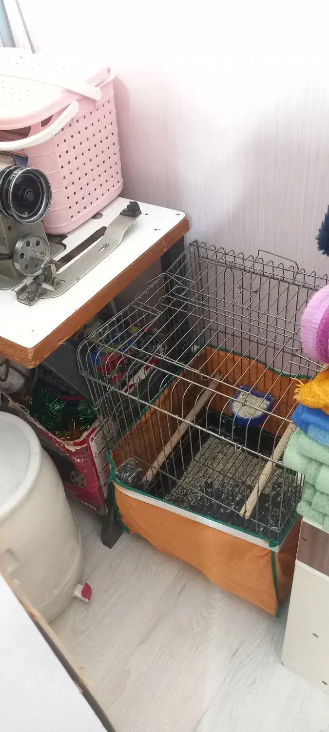 قفس بزرگ|لوازم جانبی حیوانات|نظرآباد, رسالت|دیوار