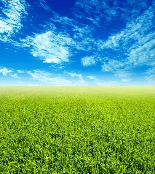 فروش قطعه ای زمین|فروش زمین و ملک کلنگی|کردیان, |دیوار