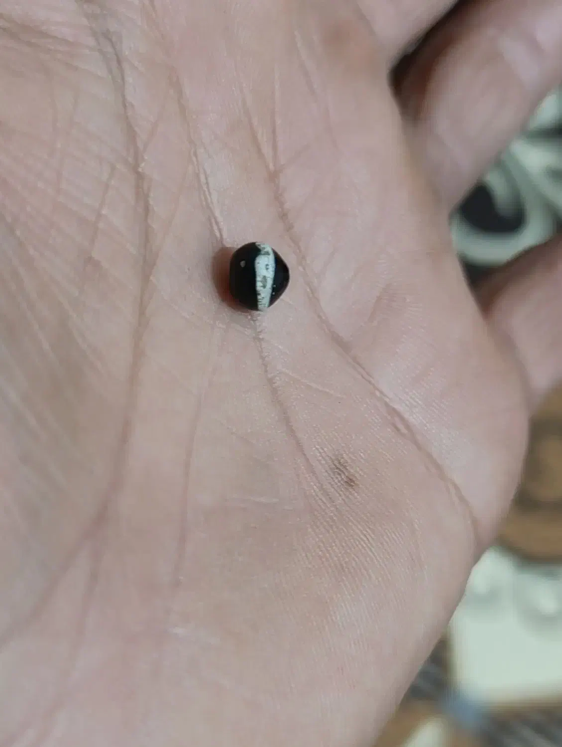 مهره و اشیا قدیمی|کلکسیون اشیاء عتیقه|ایذه, |دیوار