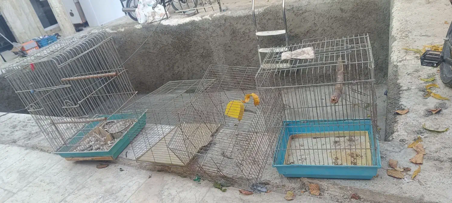۵ عدد قفس|لوازم جانبی حیوانات|هشتگرد, تهران دشت|دیوار