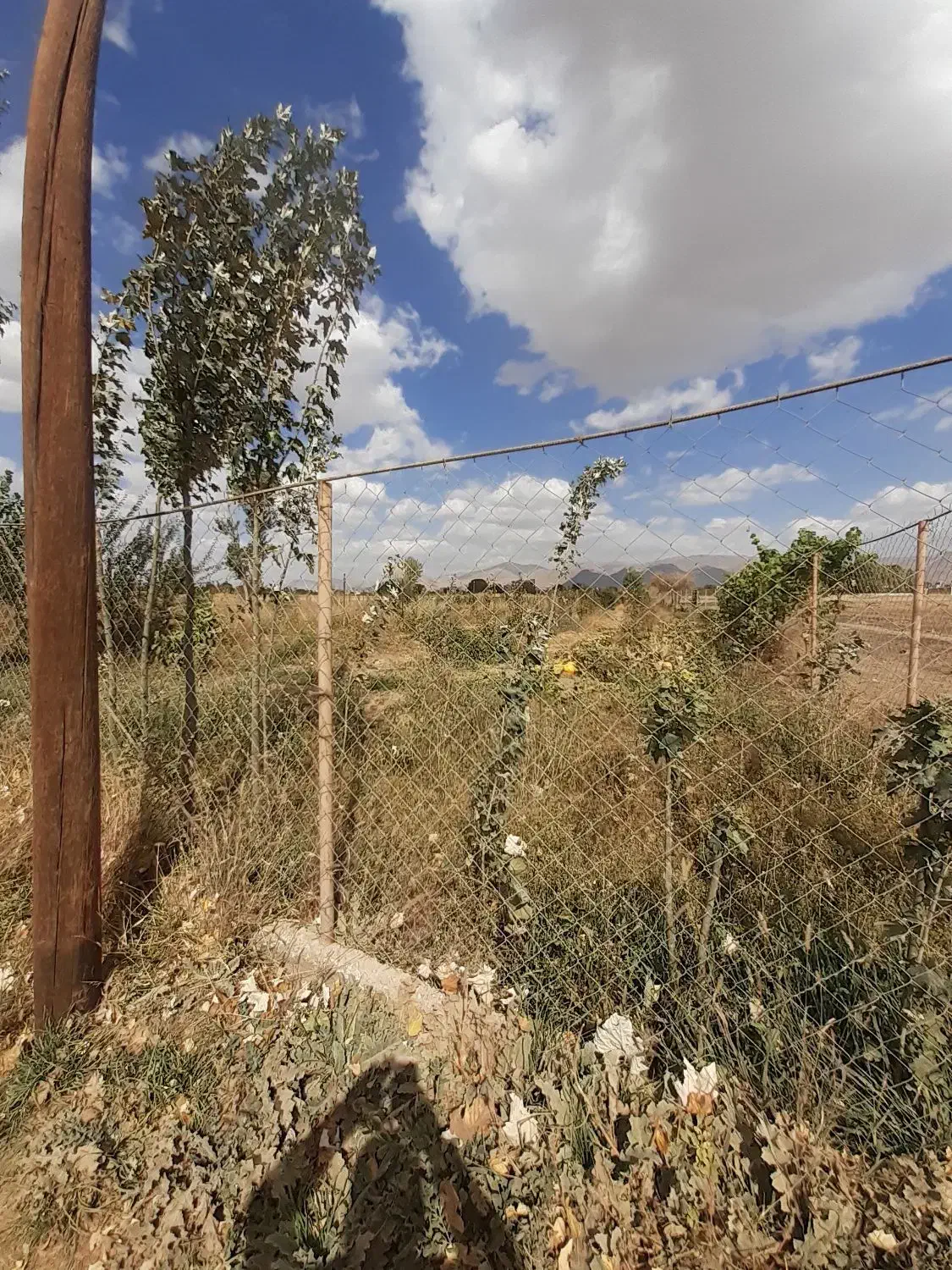 زمین ۱۰۰۰ متر سند دار.|فروش دفتر صنعتی، کشاورزی، تجاری|صائین قلعه, |دیوار