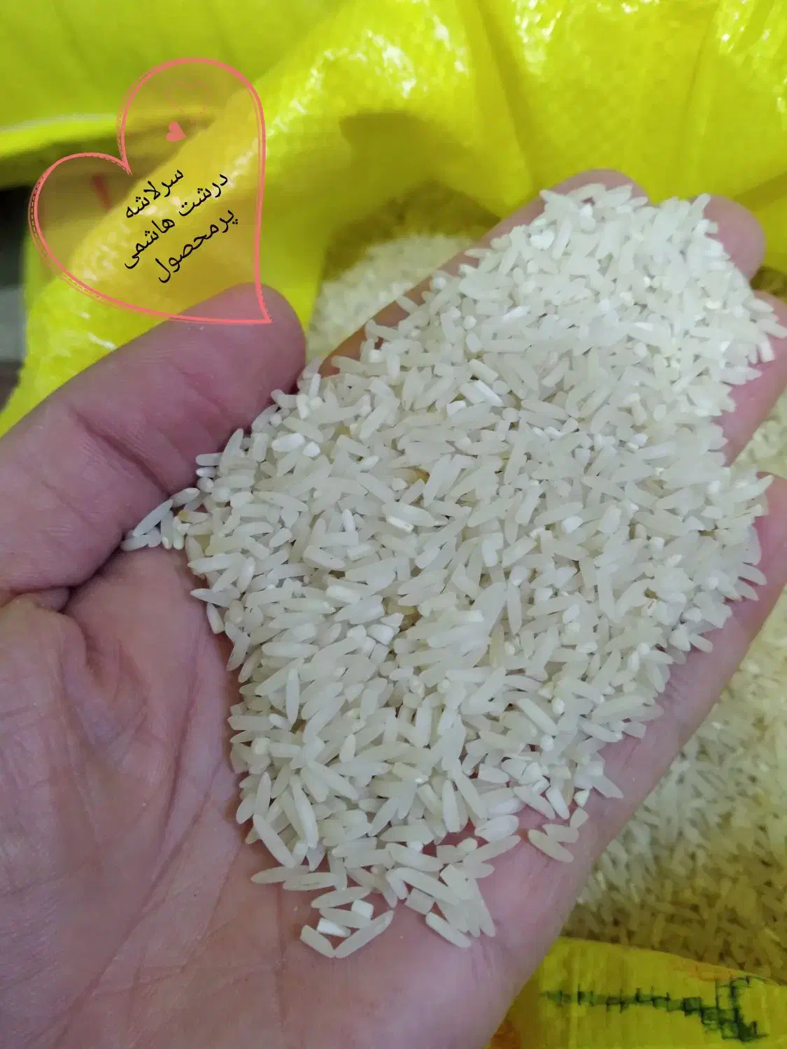 برنج سرلاشه گیلان|خوردنی و آشامیدنی|مشهد, رستگار|دیوار