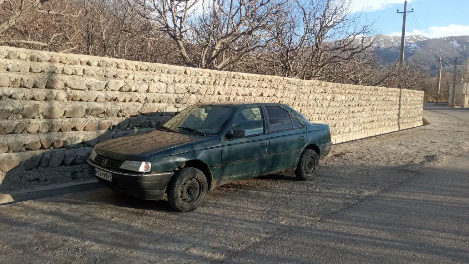 پژو آردی|خودرو سواری و وانت|مشگین شهر, |دیوار