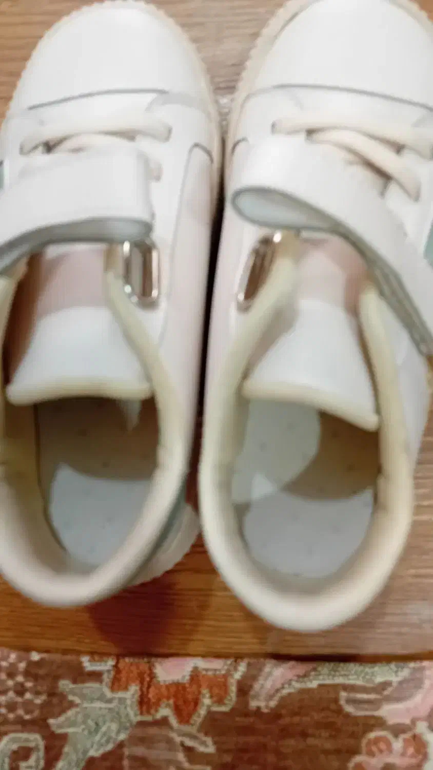 کتونی بچگانه|کفش و لباس بچه|رشت, کوی مهر|دیوار