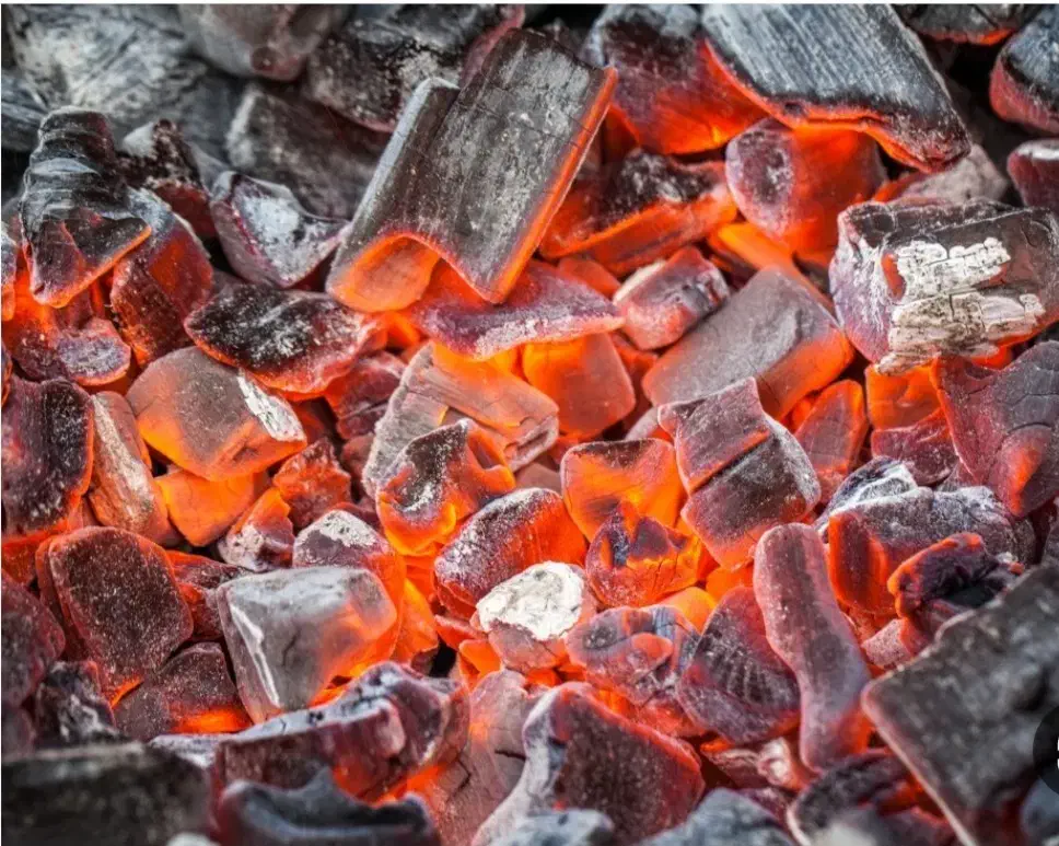 فروش انواع زغال عمده و تکی|کافیشاپ و رستوران|بهارستان, |دیوار