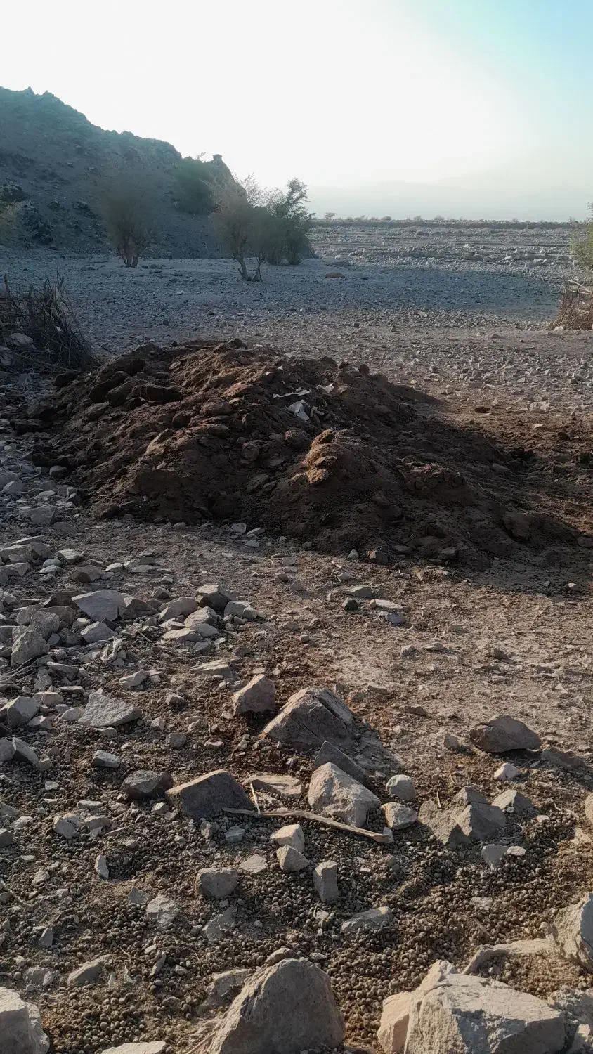 کود|خدمات باغبانی و درختکاری|جیرفت, |دیوار