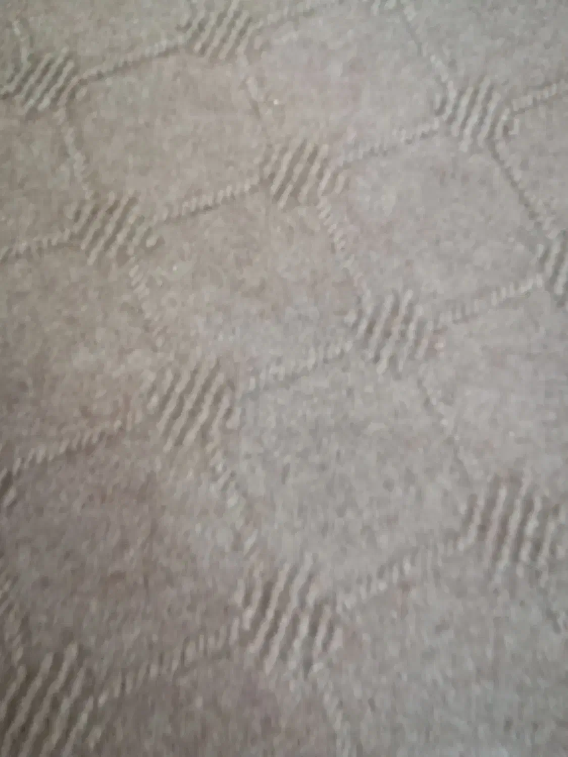 موکت|موکت|آمل, |دیوار