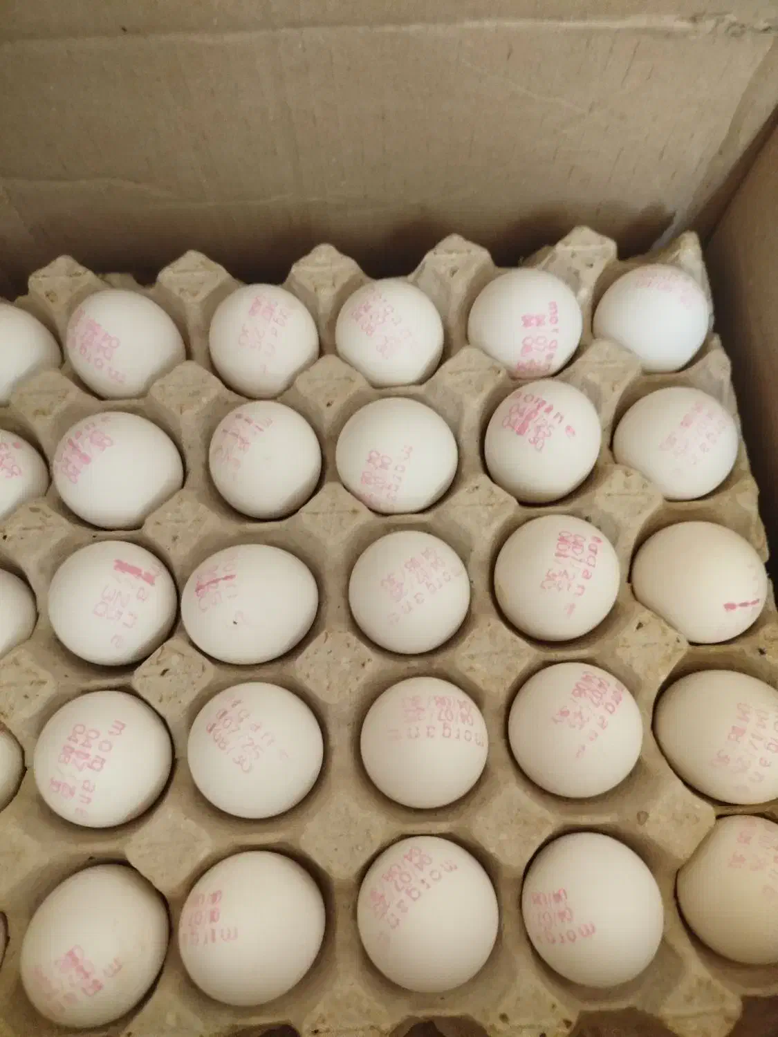 تخم مرغ 10کیلو|خوردنی و آشامیدنی|بهارستان, |دیوار