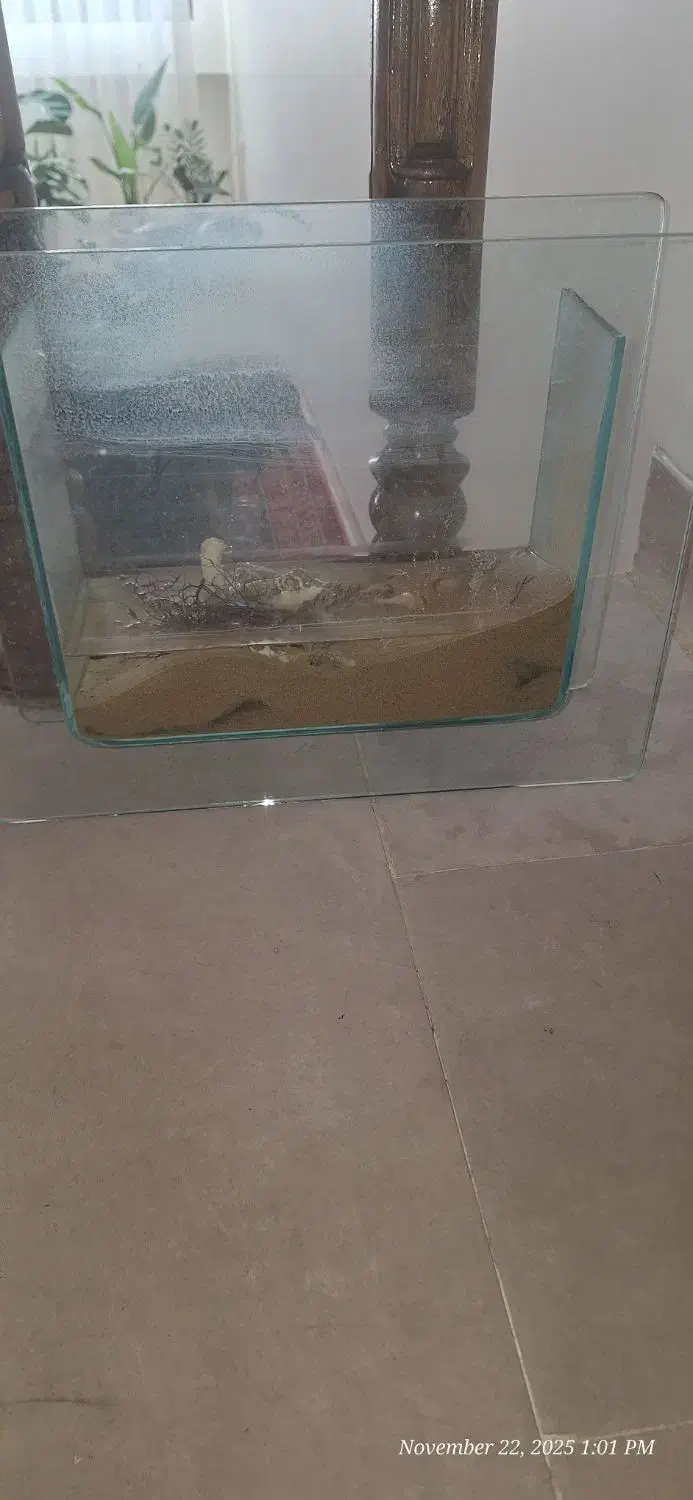 فروش اکواریوم|ماهی|اصفهان, جلفا|دیوار