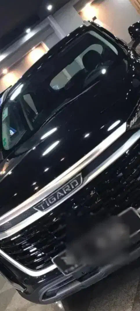 تیگارد x35 پلاس|خودرو سواری و وانت|مشهد, سپاد|دیوار