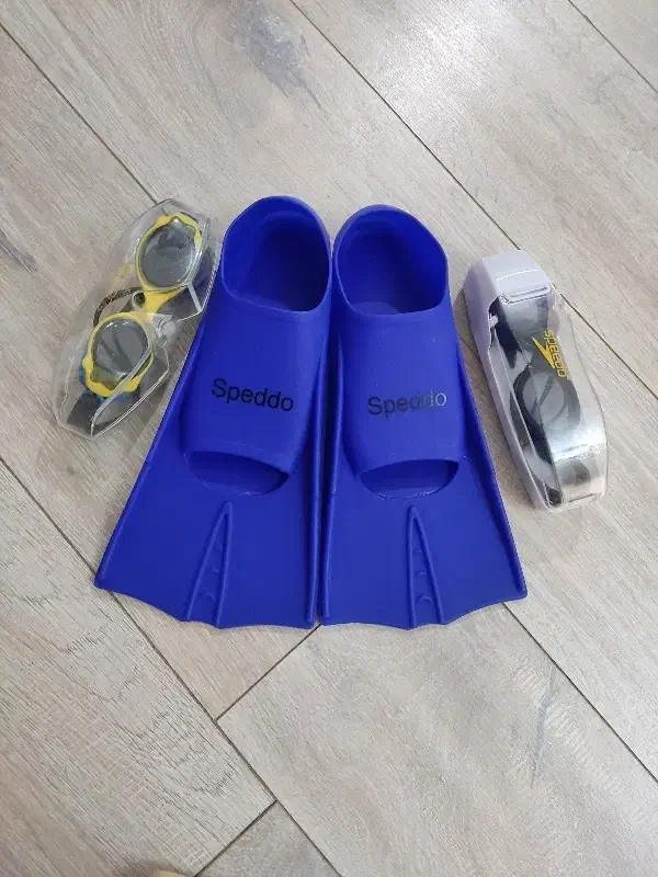 فین شنا و عینک|غواصی و ورزش‌های آبی|فردیس, منظریه|دیوار